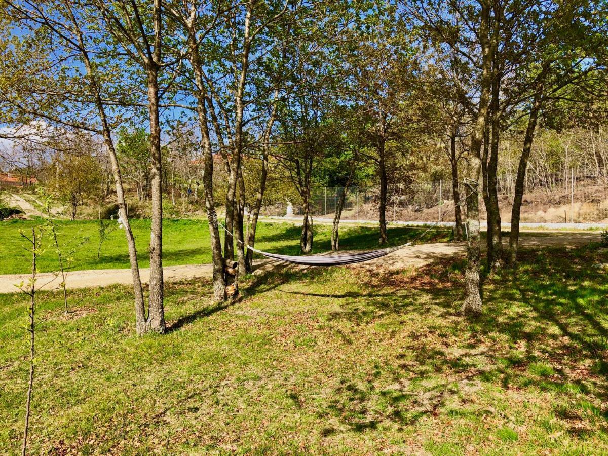 Casa Da Quinta Da Prelada Simao Villa Celorico De Basto Exteriör bild